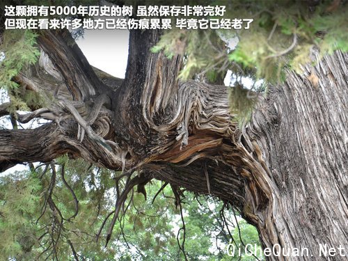 东南三菱  翼神2.0 CVT