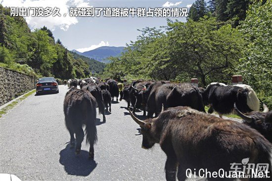 大众 捷达