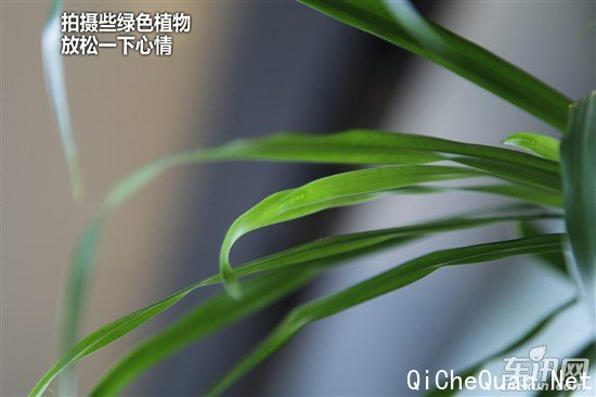 大众 捷达