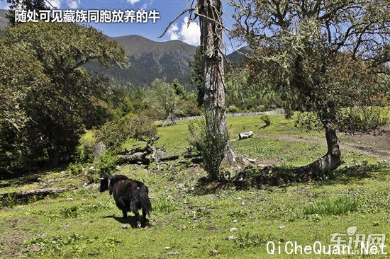 大众 捷达
