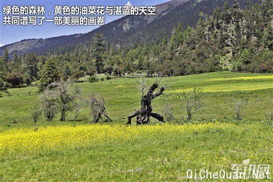 大众 捷达