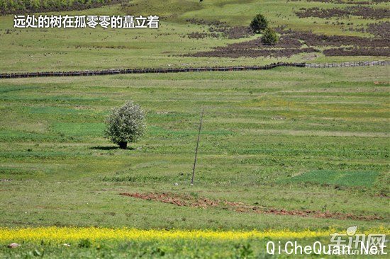 大众 捷达
