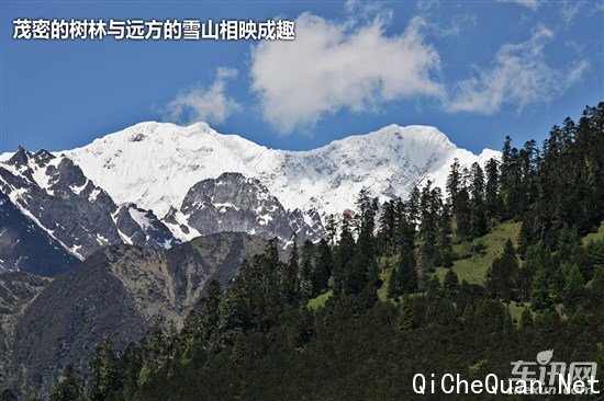 大众 捷达