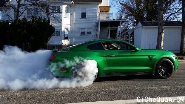 () Ұ 2015 5.0L GT ܰ