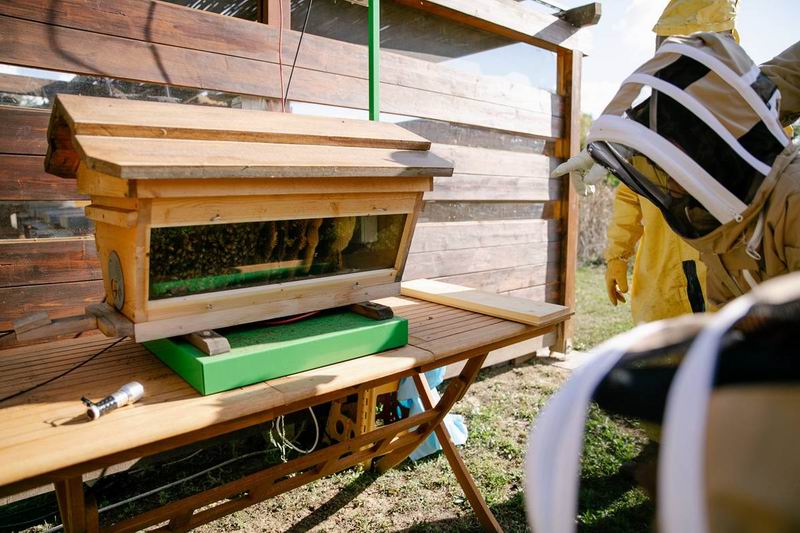 世界蜜蜂日：兰博基尼持续践行对生态系统保护的承诺